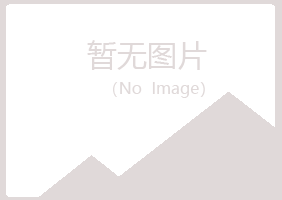 陵县冰夏能源有限公司